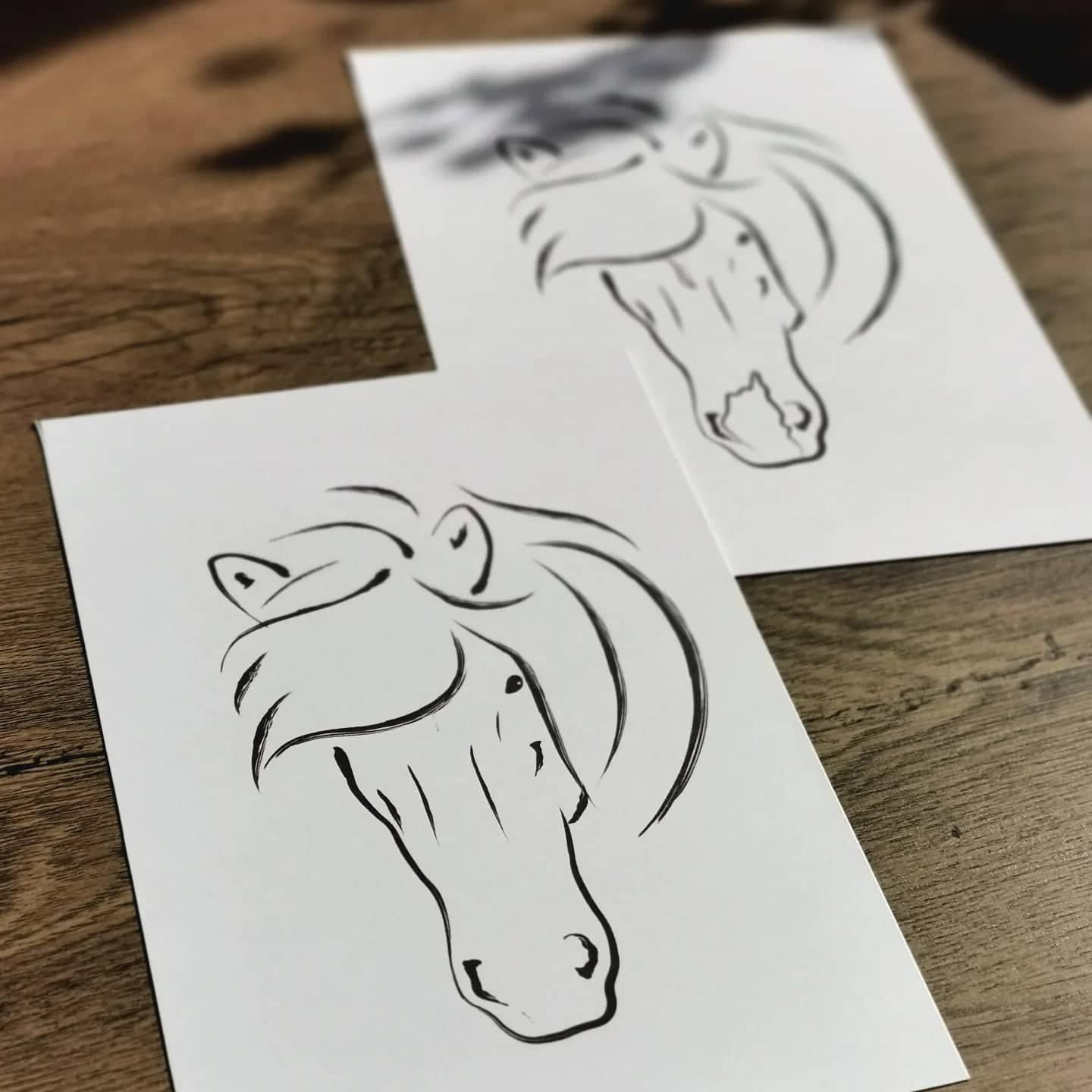 Individuelle Zeichnung mit und ohne Abzeichen / Unique drawing with and without markings of the horse