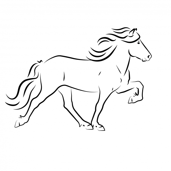 horse-drawing of a horse tölting / Pferde-Zeichnung eines Tölters
